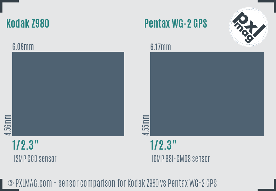 Kodak Z980 vs Pentax WG-2 GPS sensor size comparison