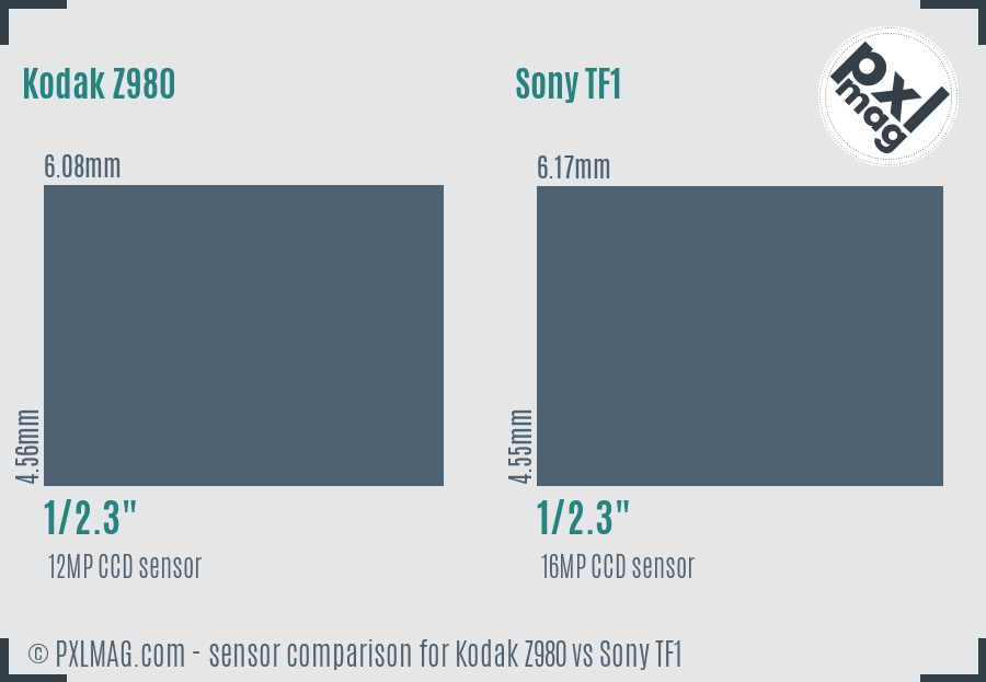 Kodak Z980 vs Sony TF1 sensor size comparison Kodak Z980 vs Sony TF1 sensor size comparison