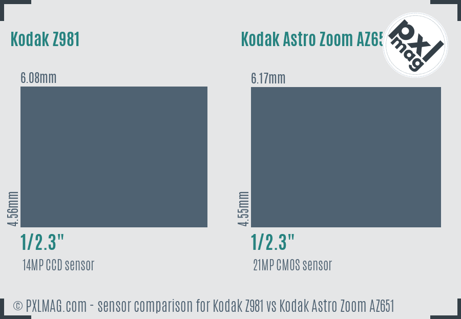 Kodak Z981 vs Kodak Astro Zoom AZ651 sensor size comparison