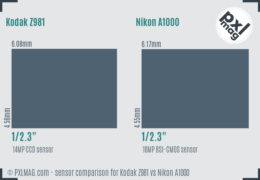 Kodak Z981 vs Nikon A1000 sensor size comparison