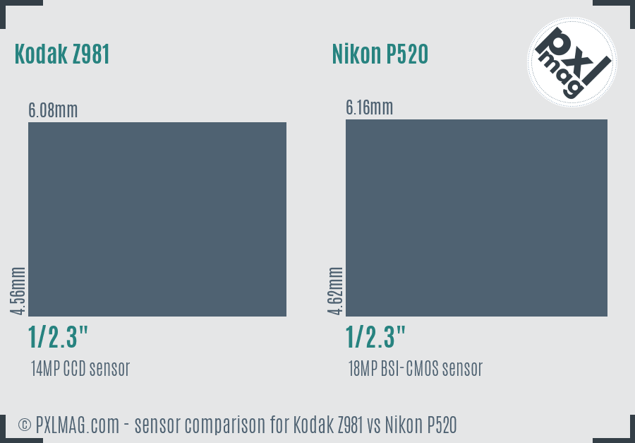 Kodak Z981 vs Nikon P520 sensor size comparison