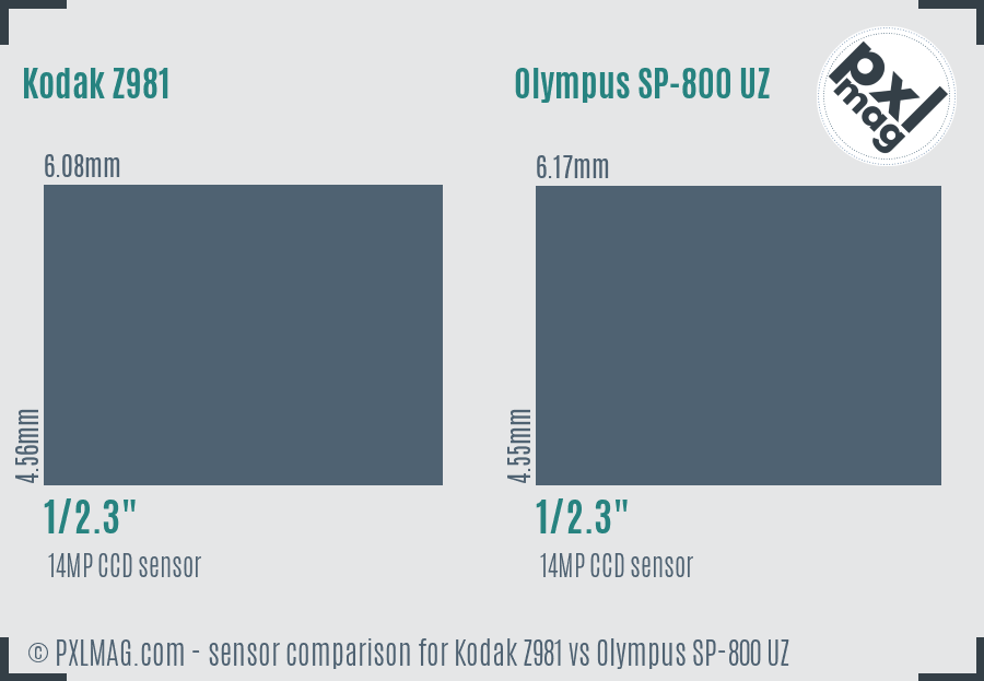 Kodak Z981 vs Olympus SP-800 UZ sensor size comparison