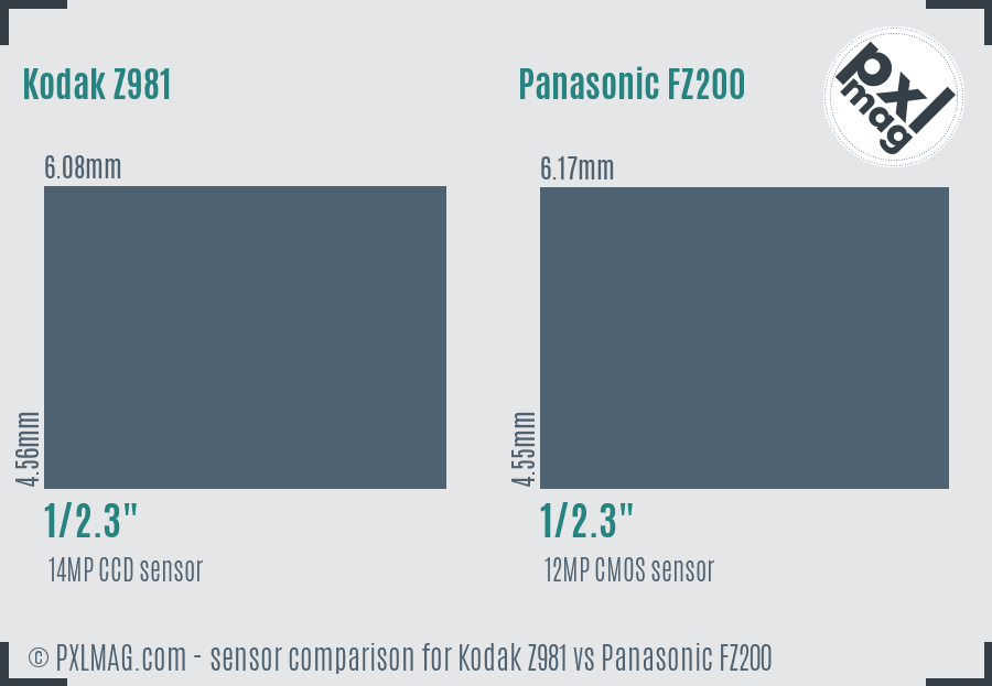 Kodak Z981 vs Panasonic FZ200 sensor size comparison