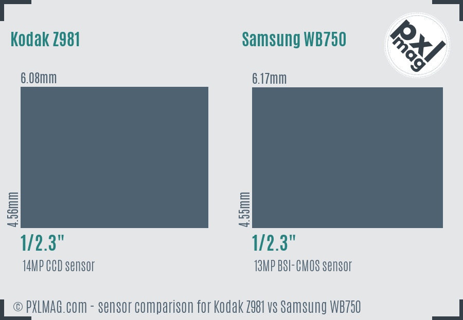 Kodak Z981 vs Samsung WB750 sensor size comparison