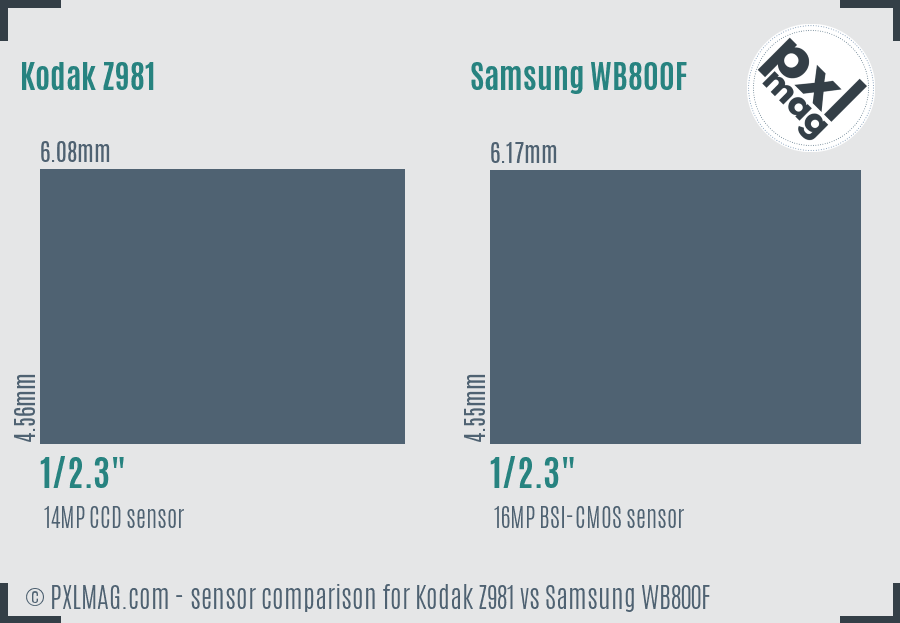 Kodak Z981 vs Samsung WB800F sensor size comparison