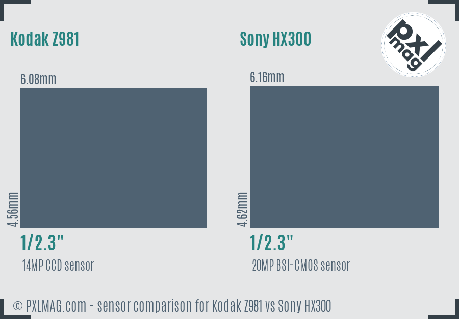 Kodak Z981 vs Sony HX300 sensor size comparison