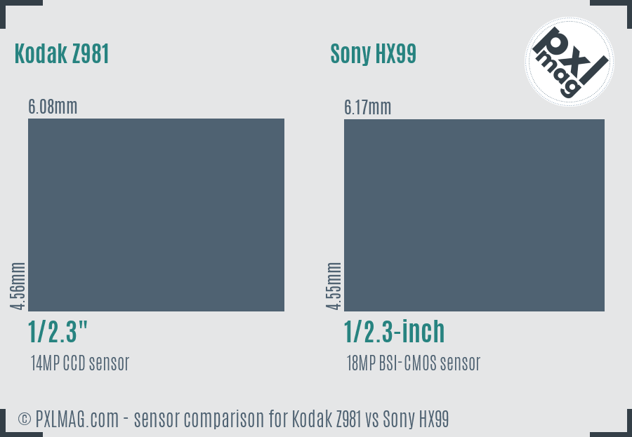 Kodak Z981 vs Sony HX99 sensor size comparison