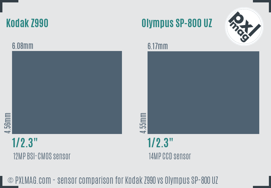 Kodak Z990 vs Olympus SP-800 UZ sensor size comparison