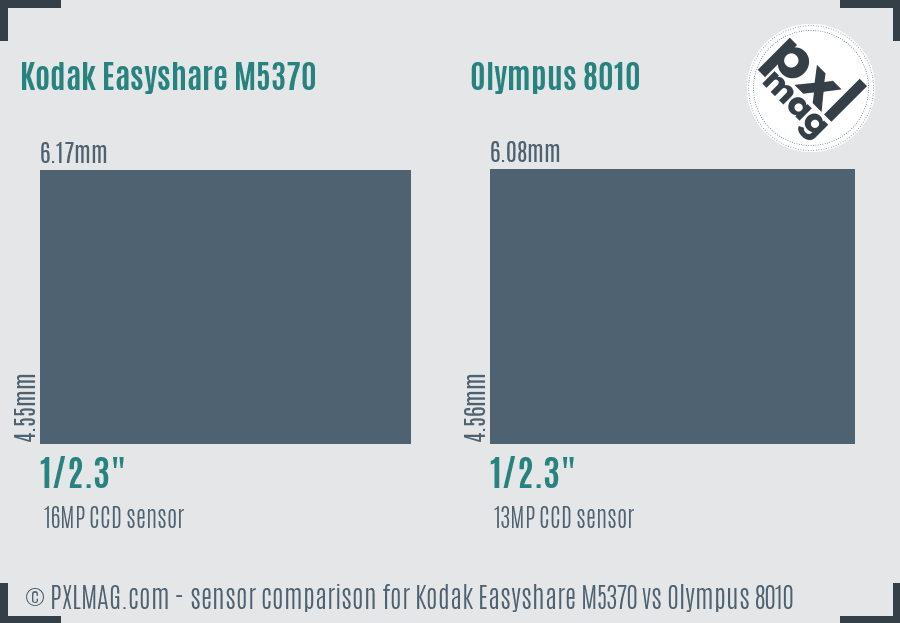 Kodak Easyshare M5370 vs Olympus 8010 sensor size comparison