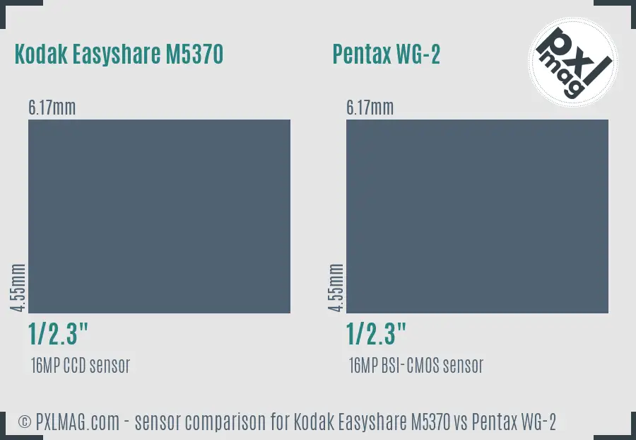 Kodak Easyshare M5370 vs Pentax WG-2 sensor size comparison