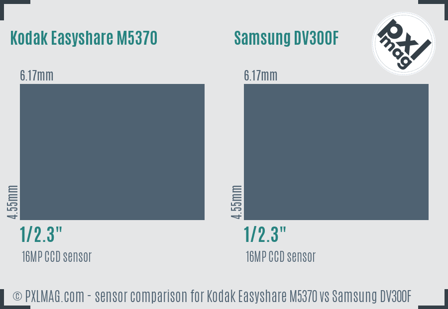 Kodak Easyshare M5370 vs Samsung DV300F sensor size comparison