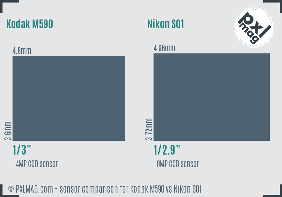 Kodak M590 vs Nikon S01 sensor size comparison