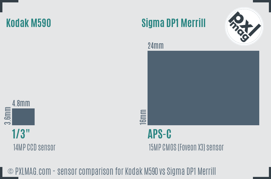 Kodak M590 vs Sigma DP1 Merrill sensor size comparison
