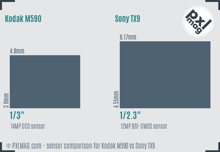 Kodak M590 vs Sony TX9 sensor size comparison