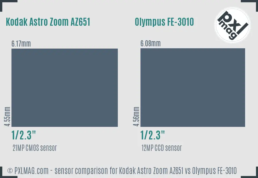 Kodak Astro Zoom AZ651 vs Olympus FE-3010 sensor size comparison