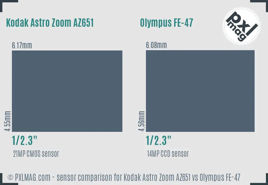 Sensor Size and Image Quality