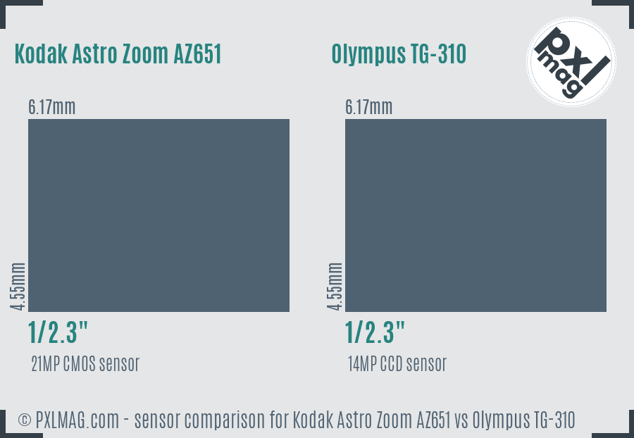 Kodak Astro Zoom AZ651 vs Olympus TG-310 sensor size comparison
