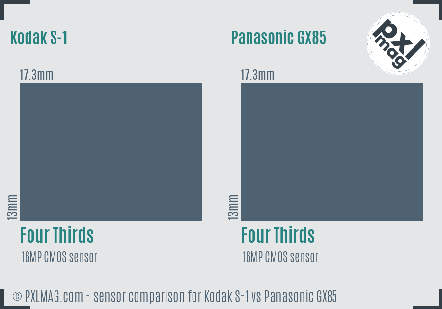 Kodak S-1 vs Panasonic GX85 sensor size comparison