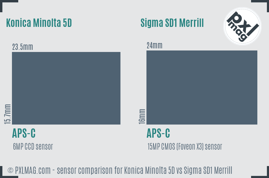 Konica Minolta 5D vs Sigma SD1 Merrill sensor size comparison