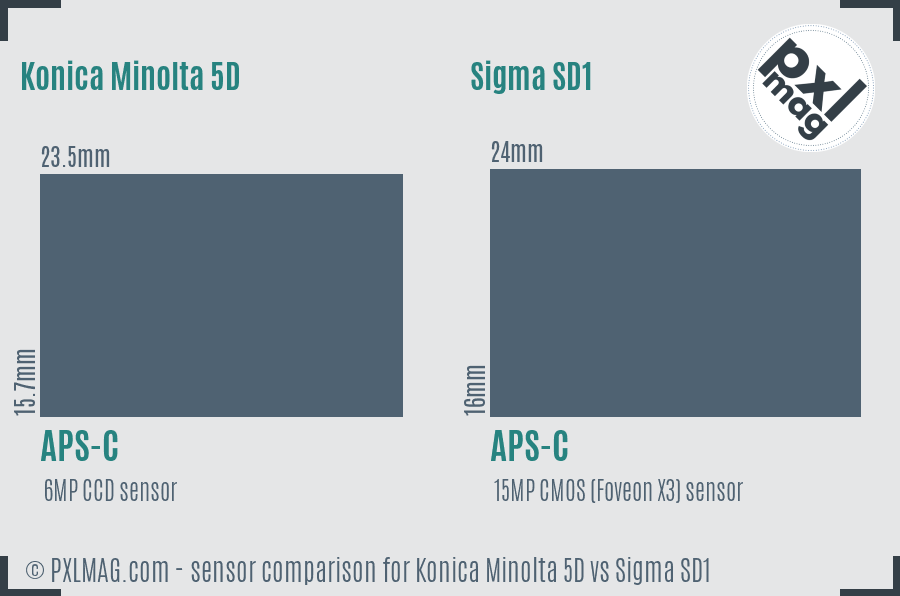 Konica Minolta 5D vs Sigma SD1 sensor size comparison