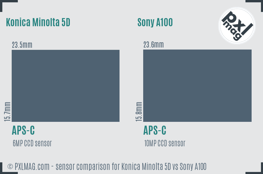 Konica Minolta 5D vs Sony A100 sensor size comparison