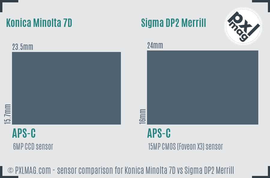 Konica Minolta 7D vs Sigma DP2 Merrill sensor size comparison
