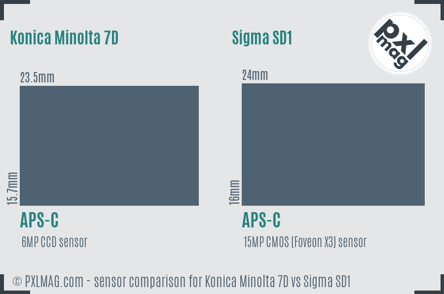 Konica Minolta 7D vs Sigma SD1 sensor size comparison