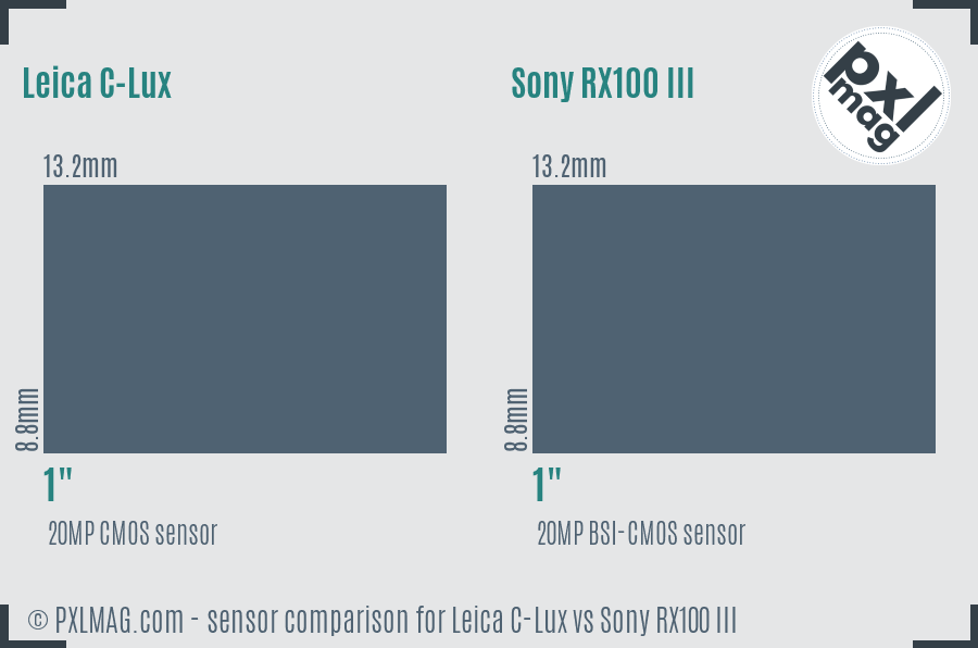 Leica C-Lux vs Sony RX100 III sensor size comparison