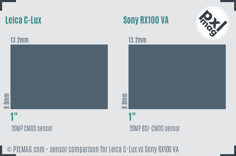 Leica C-Lux vs Sony RX100 VA sensor size comparison