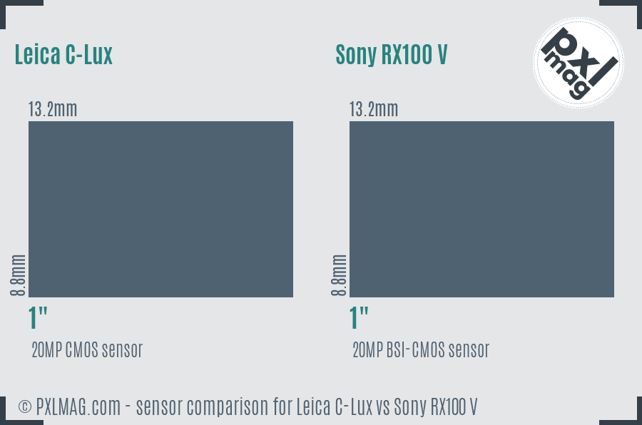 Leica C-Lux vs Sony RX100 V sensor size comparison