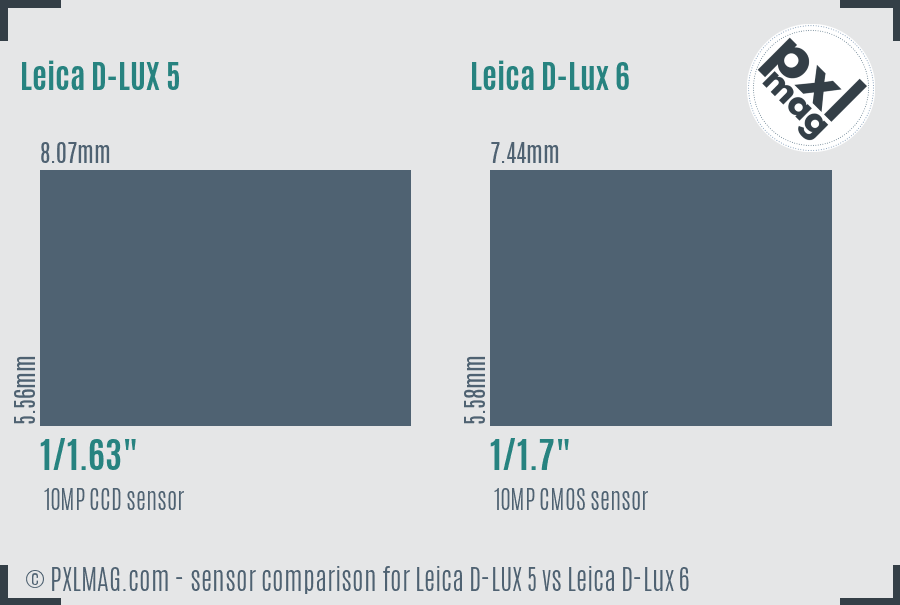 Leica D-LUX 5 vs Leica D-Lux 6 sensor size comparison