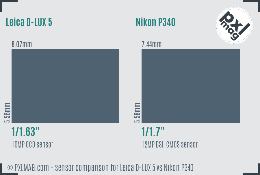 Leica D-LUX 5 vs Nikon P340 sensor size comparison