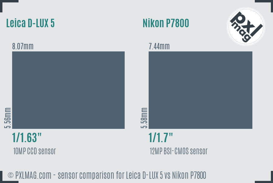 Leica D-LUX 5 vs Nikon P7800 sensor size comparison