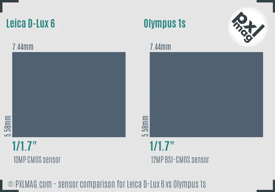 Leica D-Lux 6 vs Olympus 1s sensor size comparison