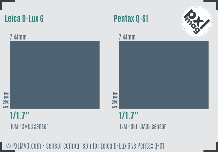 Leica D-Lux 6 vs Pentax Q-S1 sensor size comparison