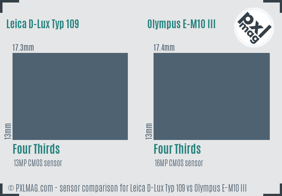 Leica D-Lux Typ 109 vs Olympus E-M10 III sensor size comparison