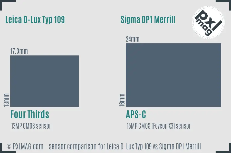 Leica D-Lux Typ 109 vs Sigma DP1 Merrill sensor size comparison