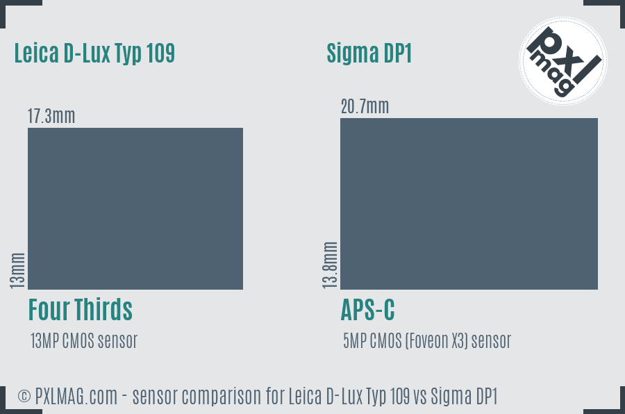 Leica D-Lux Typ 109 vs Sigma DP1 sensor size comparison