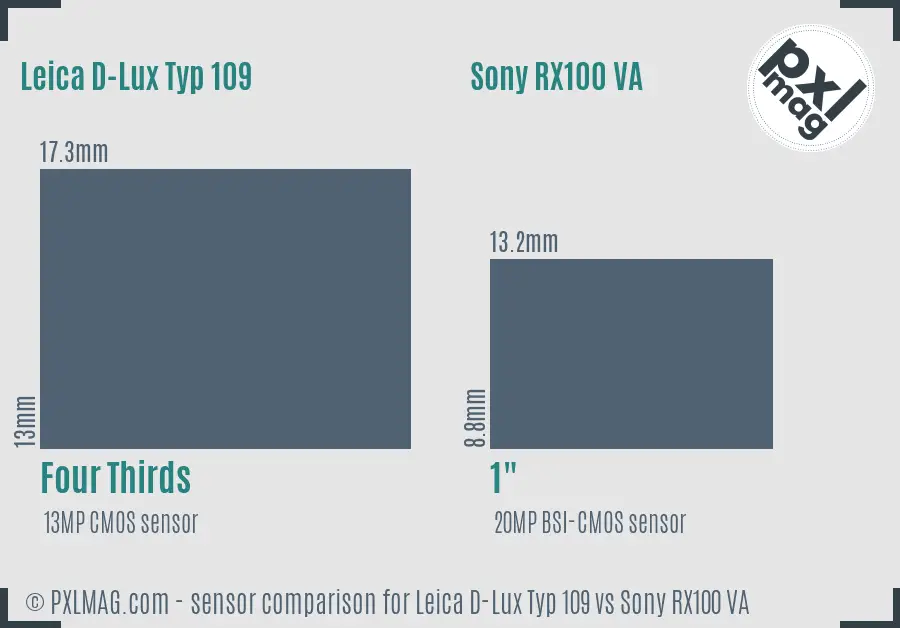 Leica D-Lux Typ 109 vs Sony RX100 VA sensor size comparison