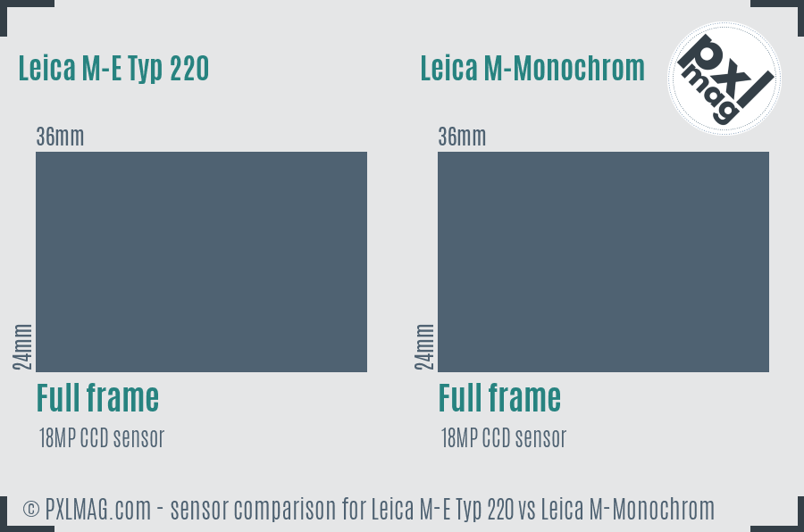 Leica M-E Typ 220 vs Leica M-Monochrom sensor size comparison