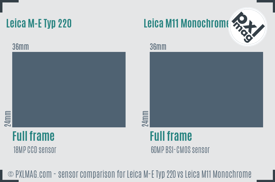 Leica M-E Typ 220 vs Leica M11 Monochrome sensor size comparison