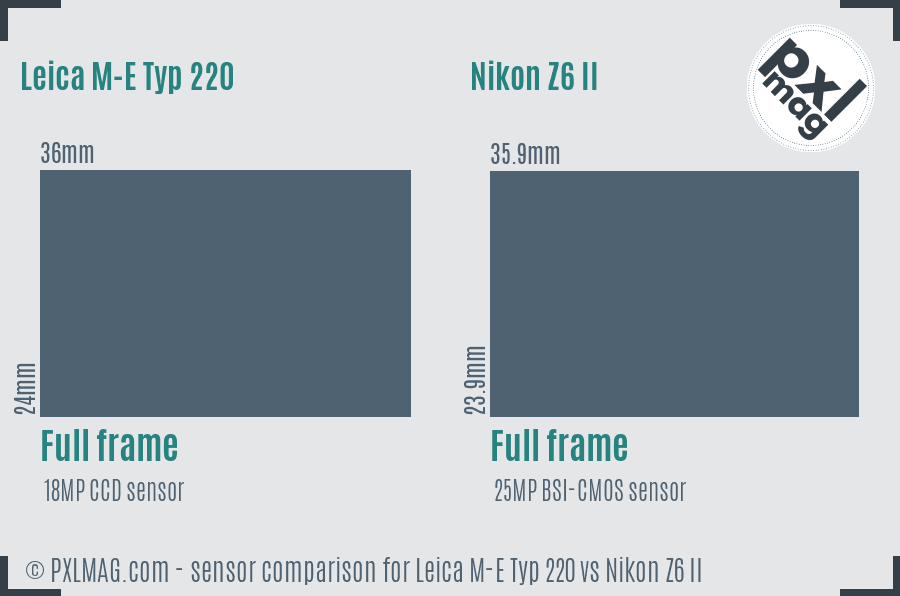 Leica M-E Typ 220 vs Nikon Z6 II sensor size comparison