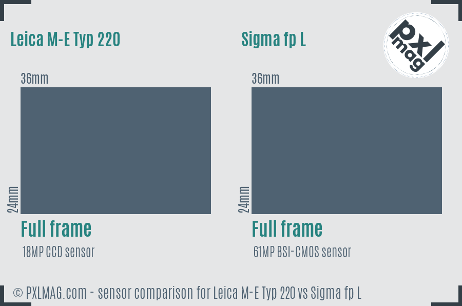 Leica M-E Typ 220 vs Sigma fp L sensor size comparison