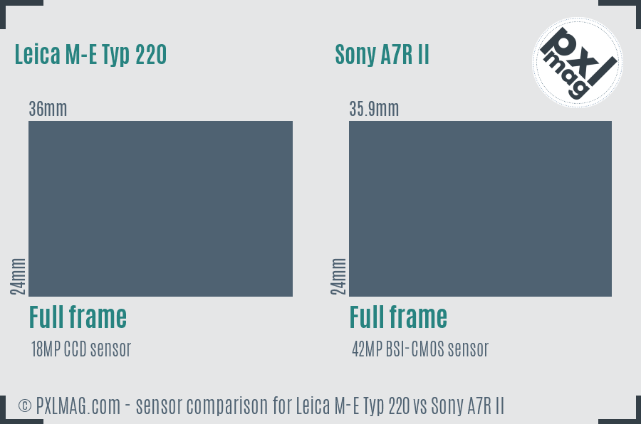 Leica M-E Typ 220 vs Sony A7R II sensor size comparison