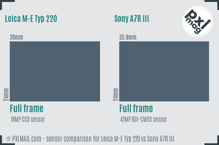 Leica M-E Typ 220 vs Sony A7R III sensor size comparison