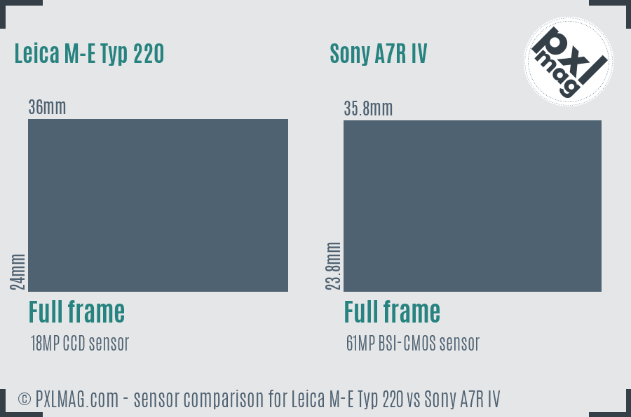 Leica M-E Typ 220 vs Sony A7R IV sensor size comparison