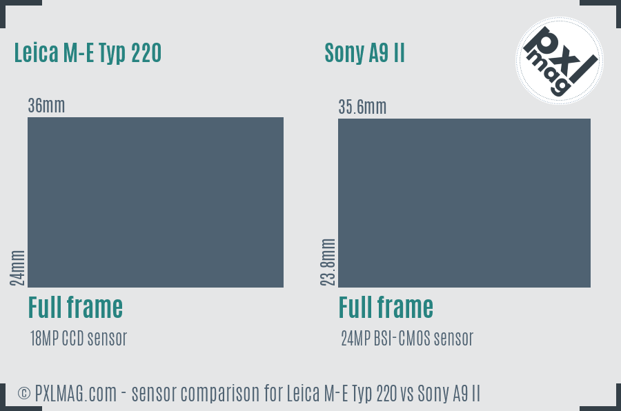 Leica M-E Typ 220 vs Sony A9 II sensor size comparison