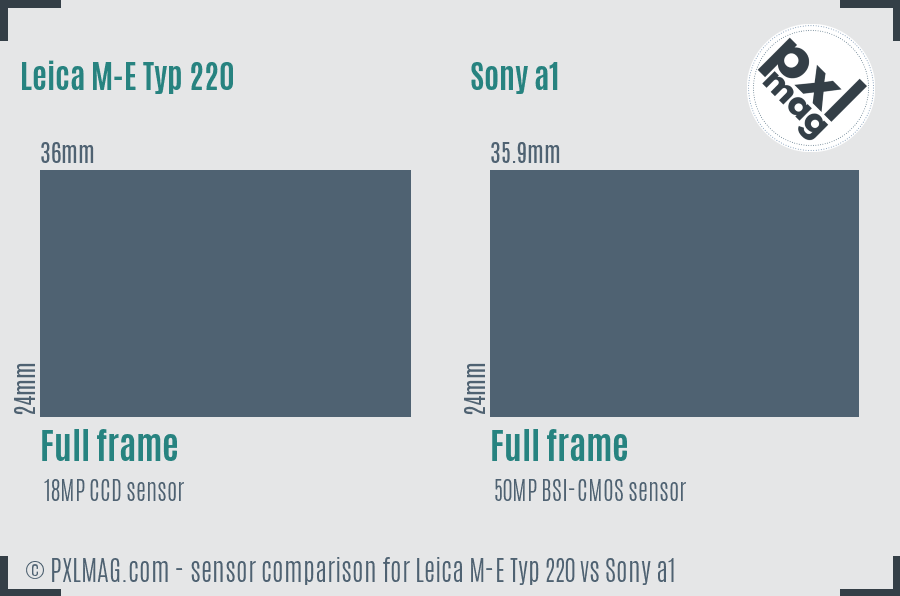 Leica M-E Typ 220 vs Sony a1 sensor size comparison