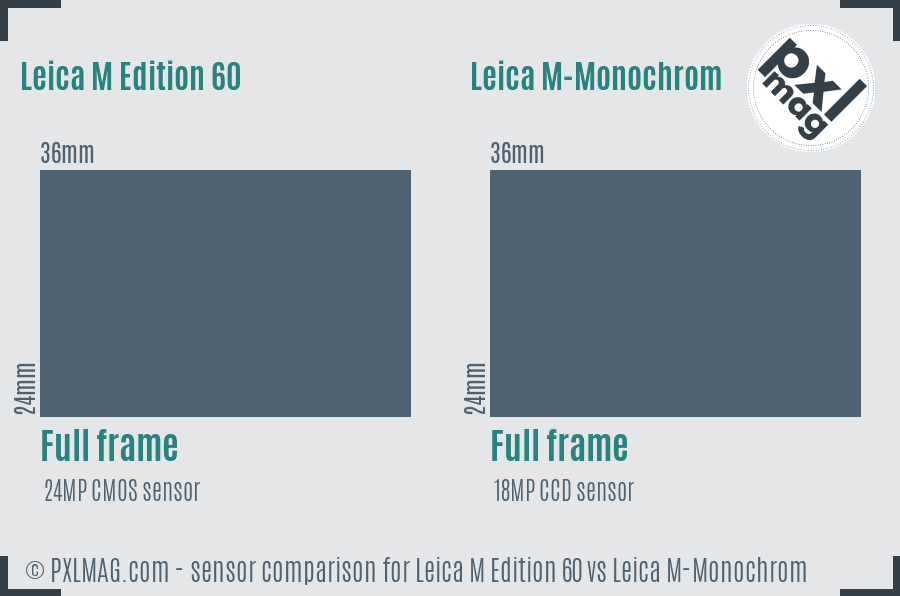 Leica M Edition 60 vs Leica M-Monochrom sensor size comparison