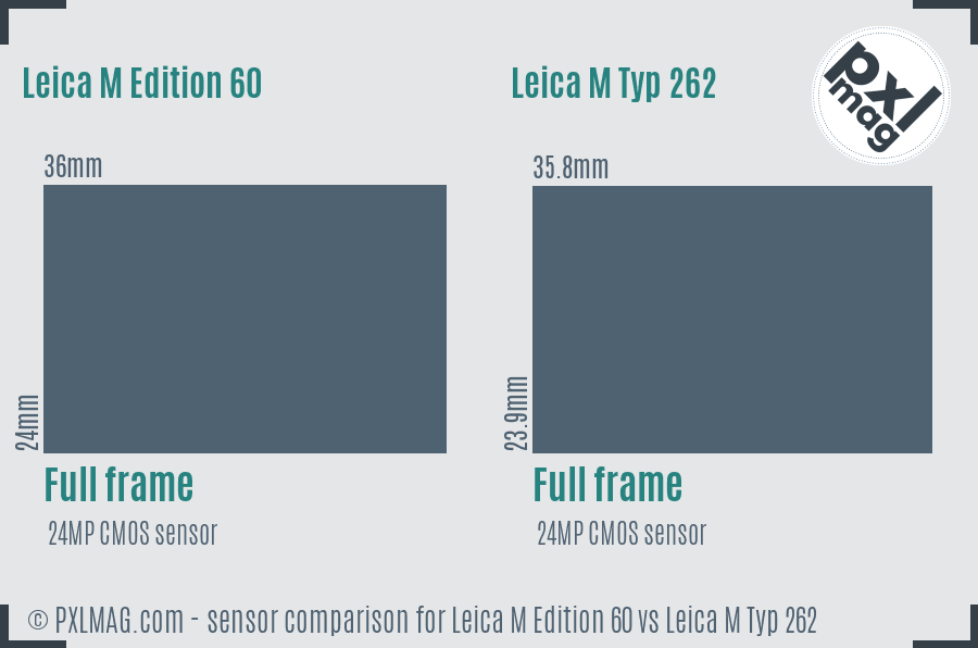 Leica M Edition 60 vs Leica M Typ 262 sensor size comparison